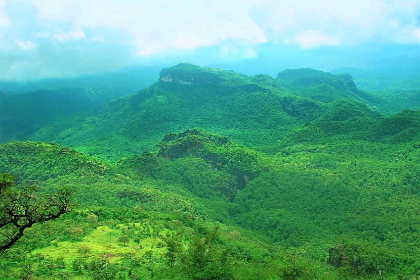 शेती परिसर आणि ग्रामीण निसर्ग